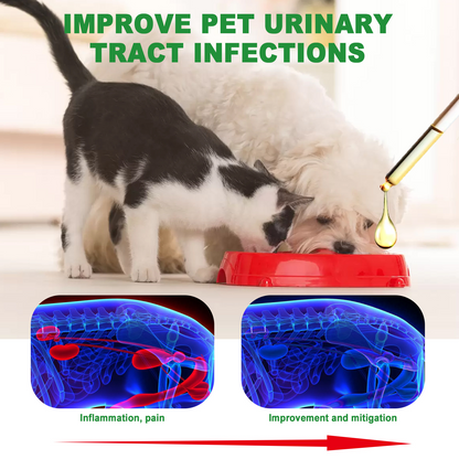 PurriFlow+™ - Advanced Formula for Urinary Tract Wellness